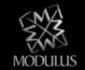 Profile picture for user modulusbass