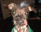 Profile picture for user mrbadhabits